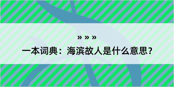 一本词典：海滨故人是什么意思？