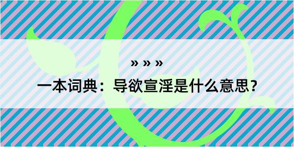 一本词典：导欲宣淫是什么意思？