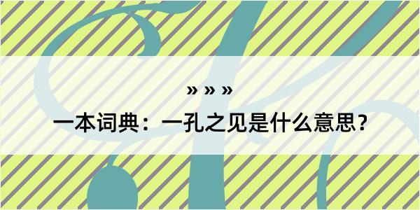 一本词典：一孔之见是什么意思？