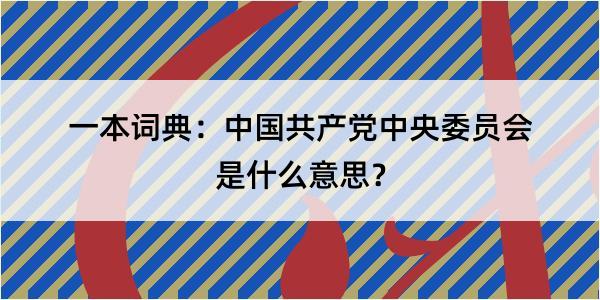 一本词典：中国共产党中央委员会是什么意思？