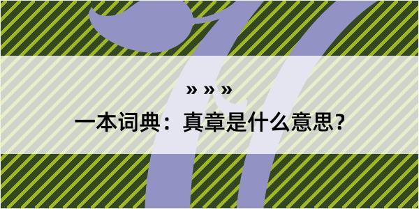 一本词典：真章是什么意思？