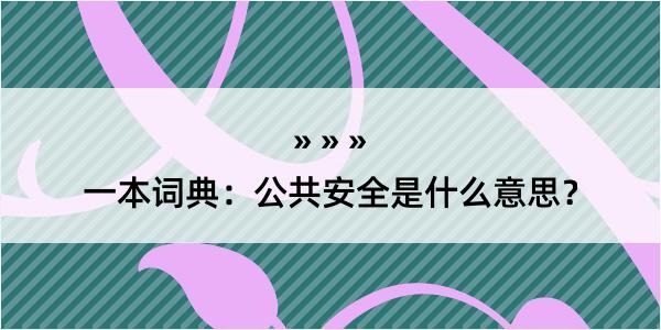 一本词典：公共安全是什么意思？