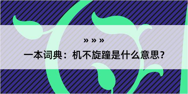 一本词典：机不旋蹱是什么意思？