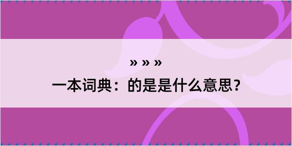 一本词典：的是是什么意思？