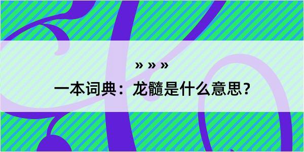 一本词典：龙髓是什么意思？