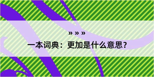 一本词典：更加是什么意思？