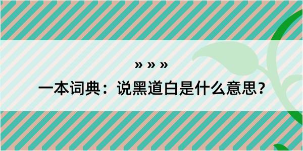 一本词典：说黑道白是什么意思？