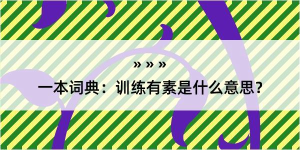 一本词典：训练有素是什么意思？