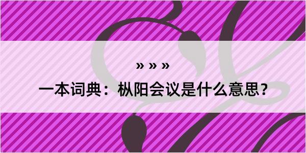 一本词典：枞阳会议是什么意思？