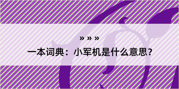 一本词典：小军机是什么意思？