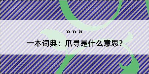 一本词典：爪寻是什么意思？