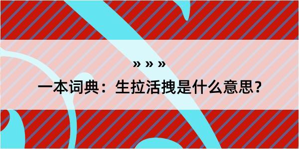 一本词典：生拉活拽是什么意思？