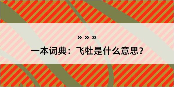 一本词典：飞牡是什么意思？