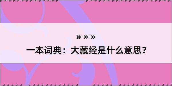 一本词典：大藏经是什么意思？