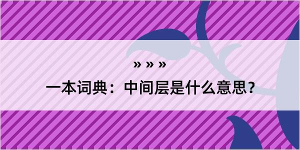 一本词典：中间层是什么意思？