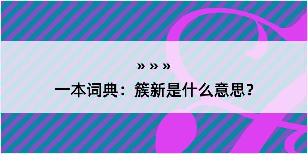 一本词典：簇新是什么意思？