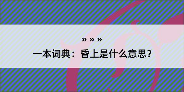 一本词典：昏上是什么意思？