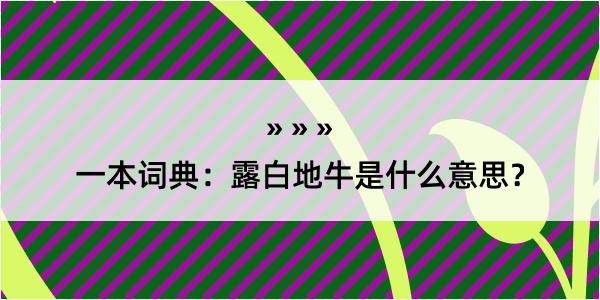 一本词典：露白地牛是什么意思？