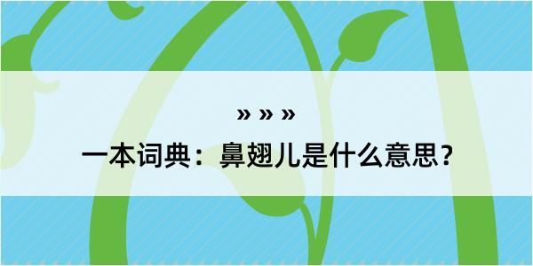 一本词典：鼻翅儿是什么意思？