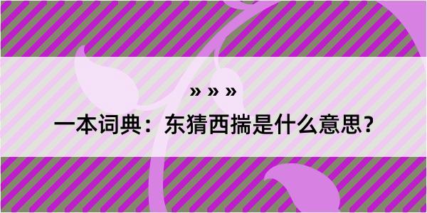 一本词典：东猜西揣是什么意思？