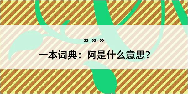 一本词典：阿是什么意思？