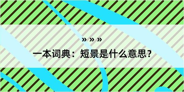 一本词典：短景是什么意思？