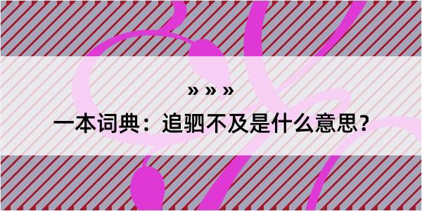 一本词典：追驷不及是什么意思？