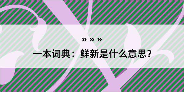 一本词典：鲜新是什么意思？