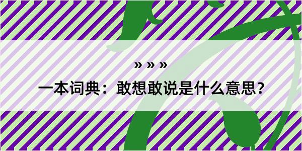 一本词典：敢想敢说是什么意思？