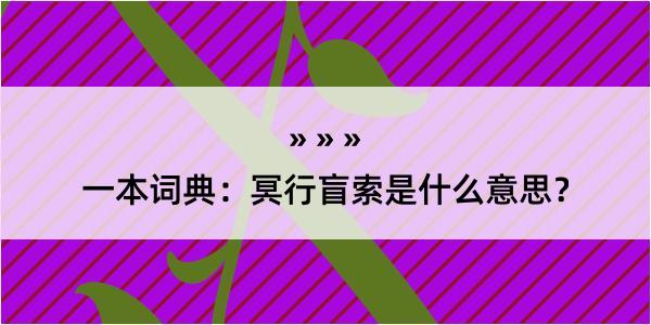 一本词典：冥行盲索是什么意思？