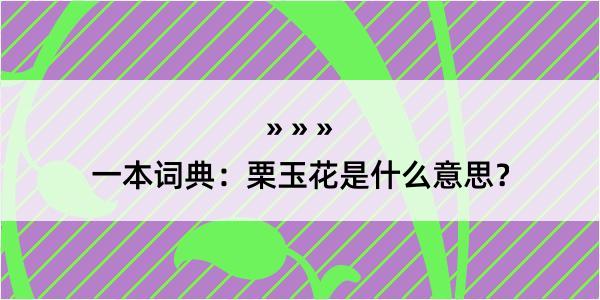 一本词典：栗玉花是什么意思？