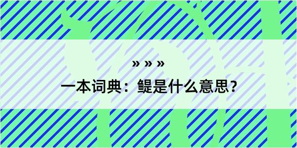 一本词典：鳀是什么意思？