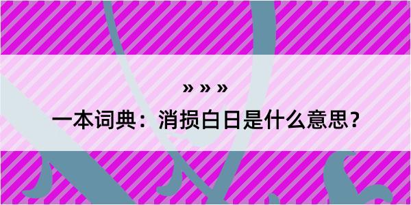 一本词典：消损白日是什么意思？