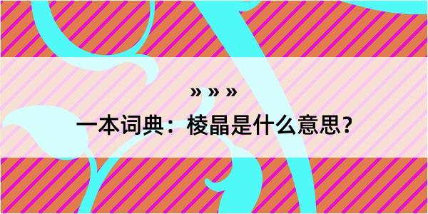 一本词典：棱晶是什么意思？