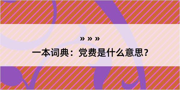 一本词典：党费是什么意思？