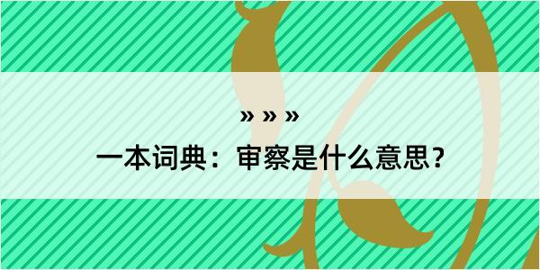 一本词典：审察是什么意思？