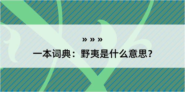 一本词典：野夷是什么意思？