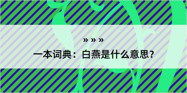 一本词典：白燕是什么意思？