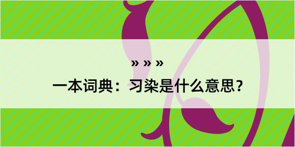 一本词典：习染是什么意思？