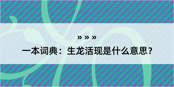 一本词典：生龙活现是什么意思？