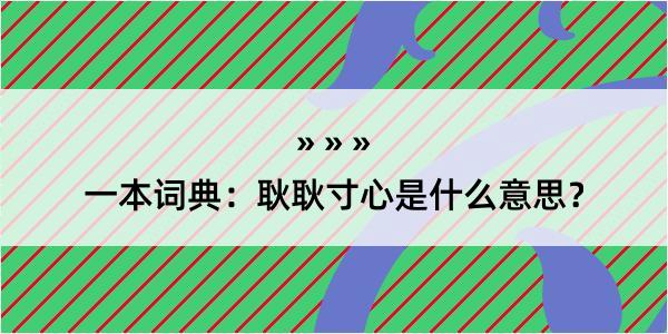 一本词典：耿耿寸心是什么意思？