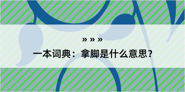 一本词典：拿脚是什么意思？