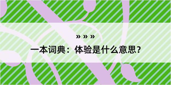 一本词典：体验是什么意思？