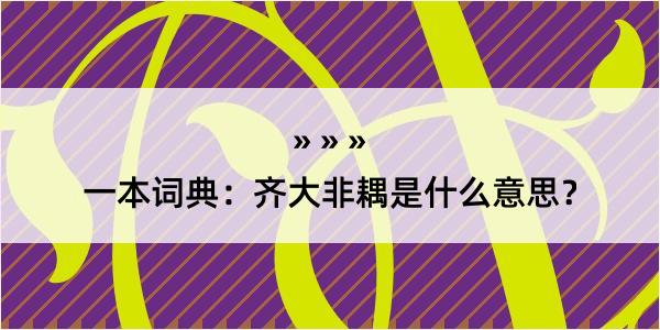 一本词典：齐大非耦是什么意思？