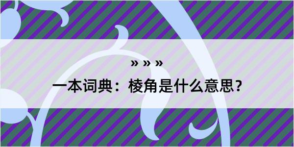 一本词典：棱角是什么意思？