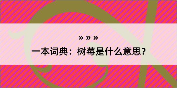 一本词典：树莓是什么意思？