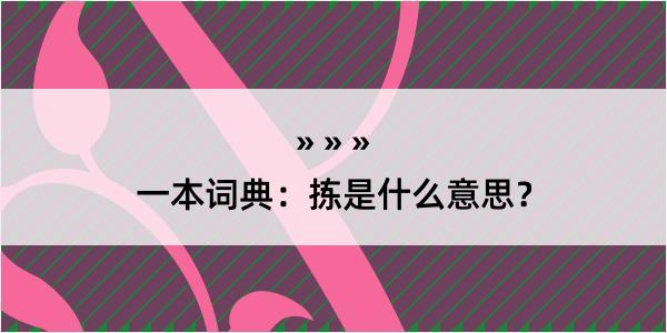 一本词典：拣是什么意思？