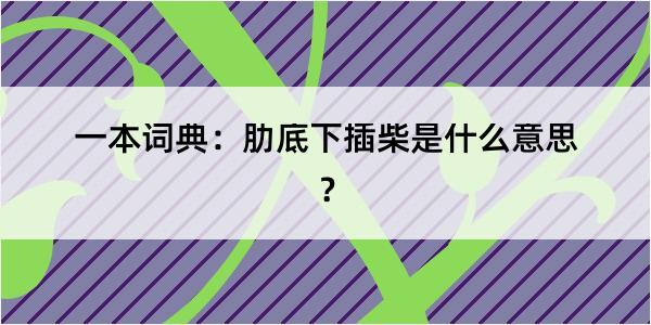 一本词典：肋底下插柴是什么意思？