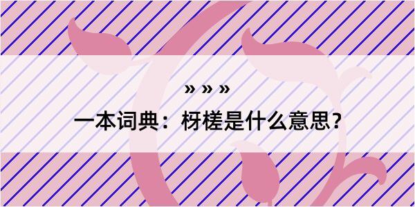 一本词典：枒槎是什么意思？