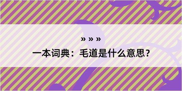 一本词典：毛道是什么意思？